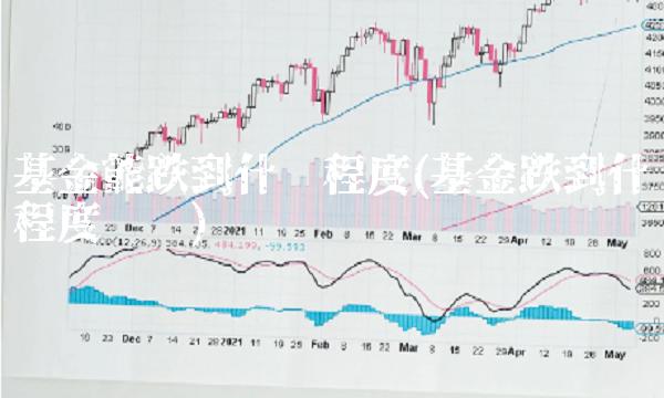 基金能跌到什么程度(基金跌到什么程度补仓)