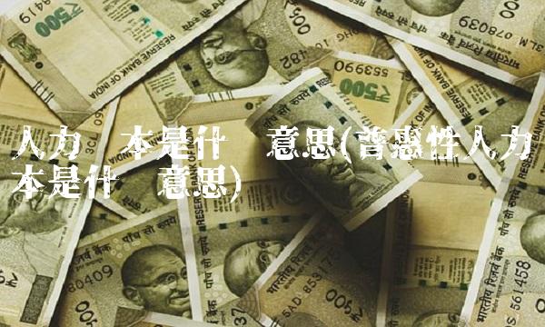 人力资本是什么意思(普惠性人力资本是什么意思)