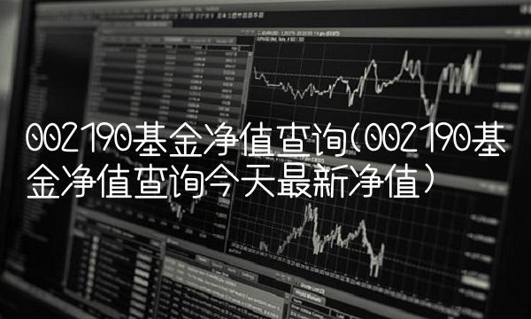 002190基金净值查询(002190基金净值查询今天**净值)