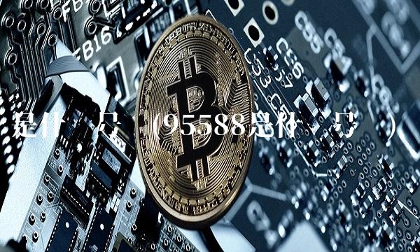 是什么号码(95588是什么号码)
