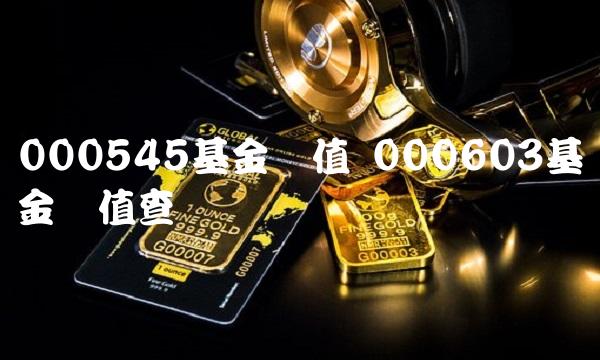 000545基金净值 000603基金净值查询