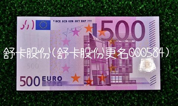舒卡股份(舒卡股份更名000584)