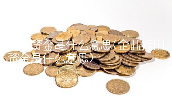拆出资金是什么意思(企业拆出资金是什么意思)