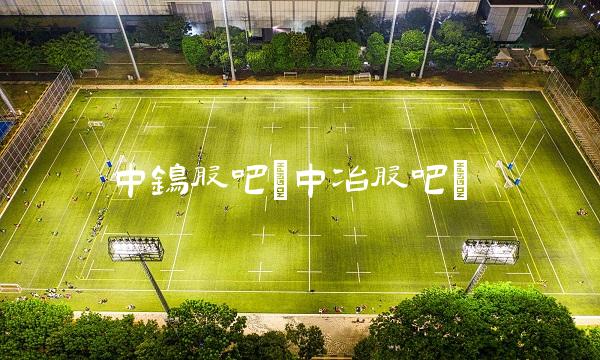 中钨股吧(中冶股吧)