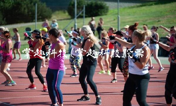 掌趣科技(掌趣科技股票)