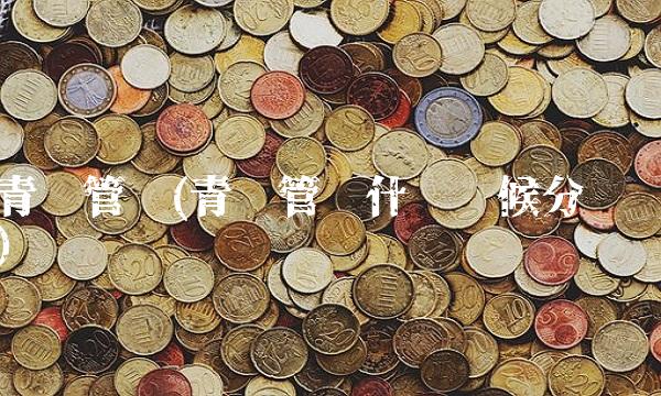 青龙管业(青龙管业什么时候分红)