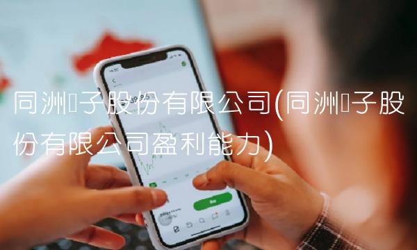 同洲电子股份有限公司(同洲电子股份有限公司盈利能力)