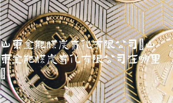 山东金能煤炭气化有限公司(山东金能煤炭气化有限公司在哪里)