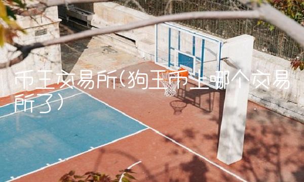币王交易所(狗王币上哪个交易所了)