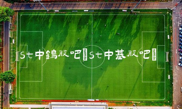 st中钨股吧(st中基股吧)