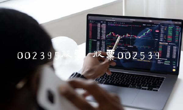 002395股票 股票002539