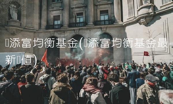 汇添富均衡基金(汇添富均衡基金**净值)