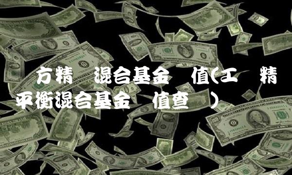 东方精选混合基金净值(工银精选平衡混合基金净值查询)