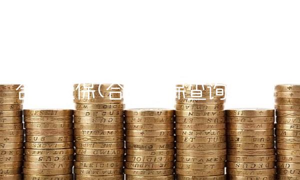 合肥社保(合肥社保查询官网)