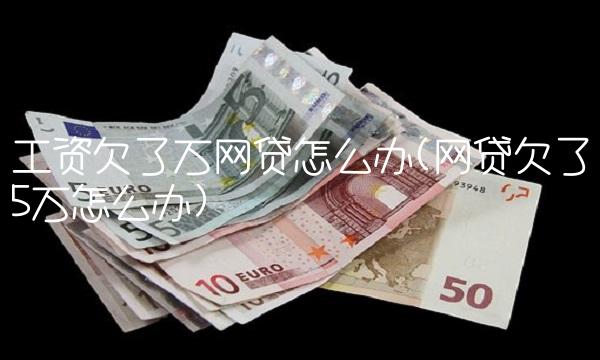 工资欠了万网贷怎么办(网贷欠了5万怎么办)