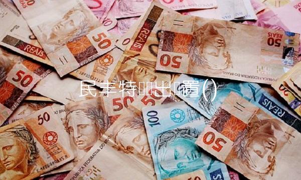 民丰特纸拟出闲置()