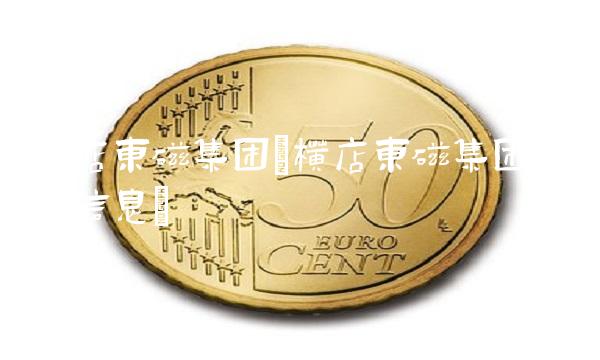 横店东磁集团(横店东磁集团招聘信息)