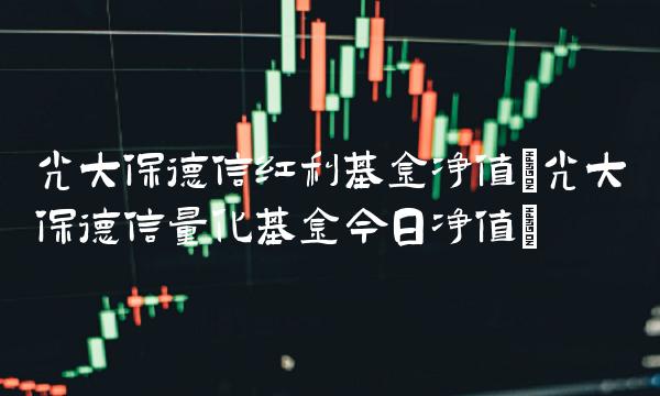 光大保德信红利基金净值(光大保德信量化基金今日净值)