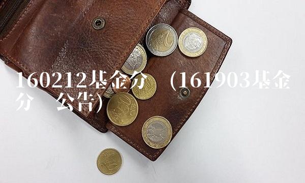 160212基金分红(161903基金分红公告)
