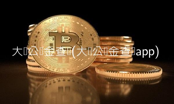 大连公积金查询(大连公积金查询app)