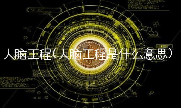 人脑工程(人脑工程是什么意思)