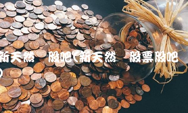 新天然气股吧(新天然气股票股吧)