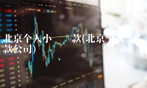 北京个人小额**(北京个人小额**公司)