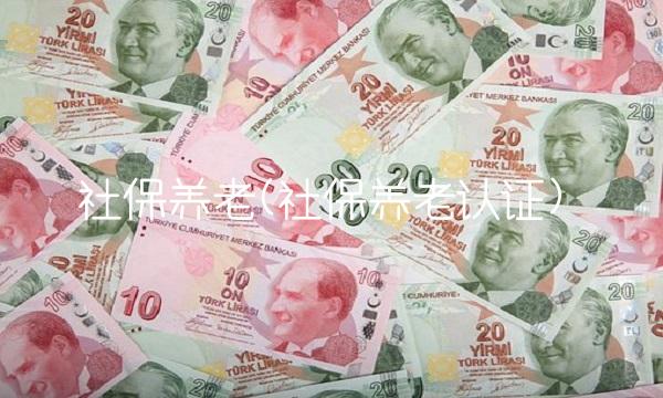 社保养老(社保养老认证)
