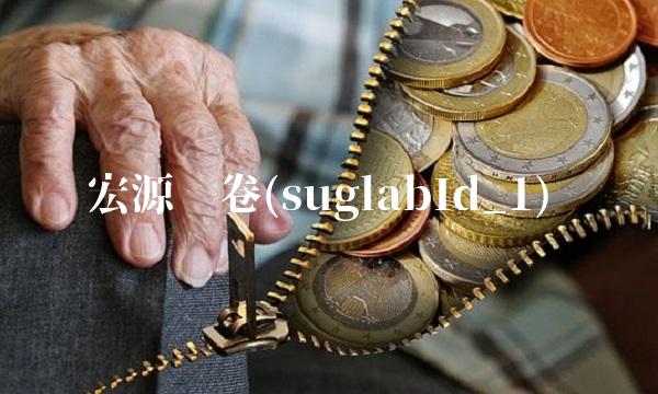 宏源证卷(suglabId_1)