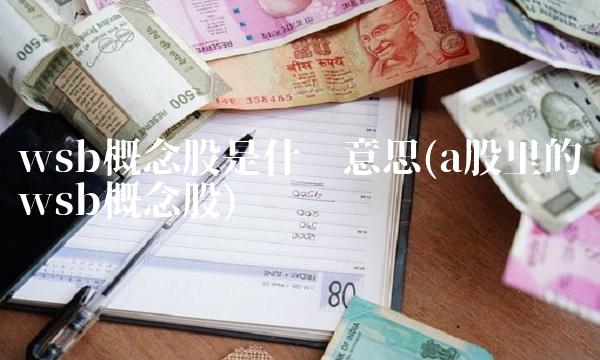 wsb概念股是什么意思(a股里的wsb概念股)