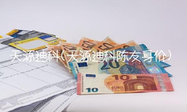 天源迪科(天源迪科陈友身价)