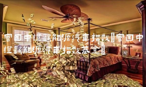 富国中证新能源汽车指数(富国中证新能源汽车指数基金)