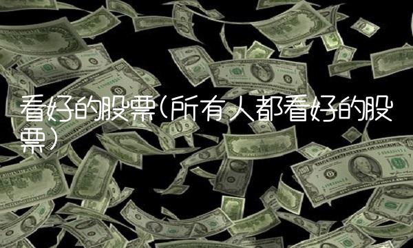 看好的股票(所有人都看好的股票)