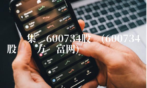 实达集团600734股吧(600734股吧东方财富网)