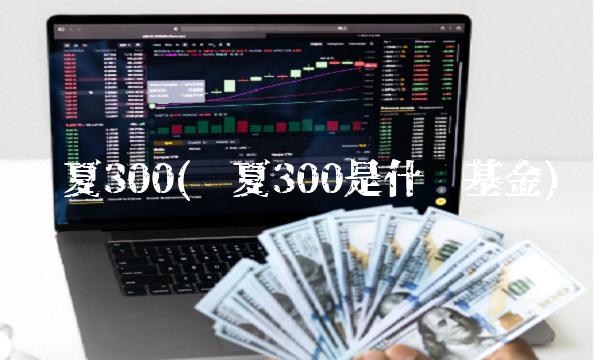 华夏300(华夏300是什么基金)