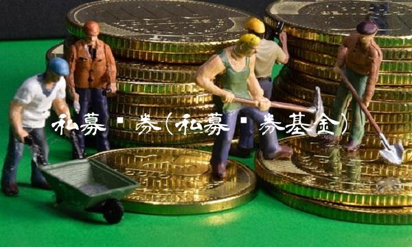 私募证券(私募证券基金)