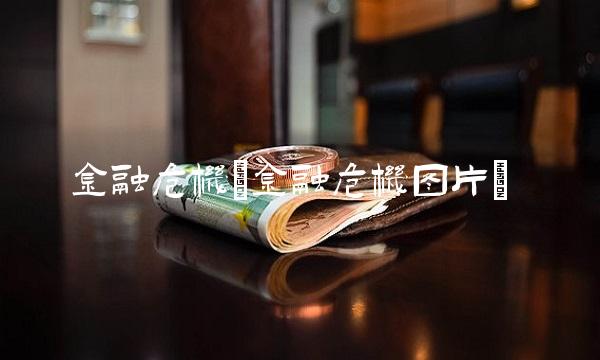 金融危机(金融危机图片)