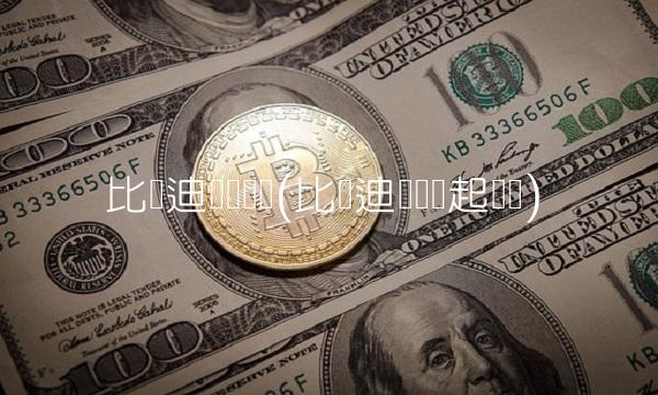 比亚迪还会涨吗(比亚迪还会涨起来吗)