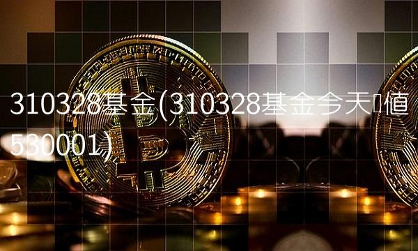 310328基金(310328基金今天净值530001)
