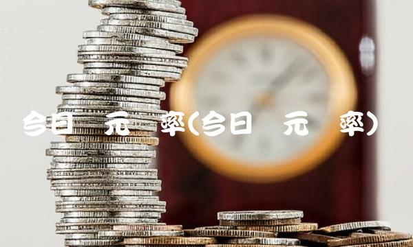 今日欧元汇率(今日欧元汇率)