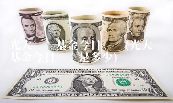 光大优势基金今日净值(光大优势基金今日净值是多少)