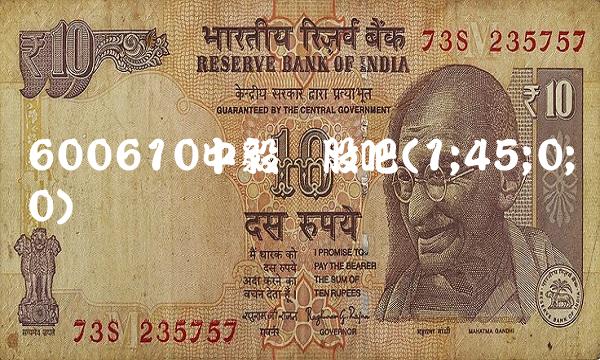 600610中毅达股吧(1;45;0;0)