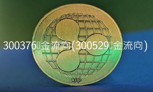300376资金流向(300529资金流向)