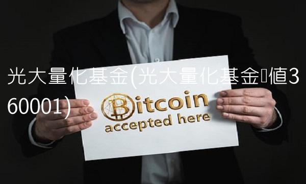 光大量化基金(光大量化基金净值360001)