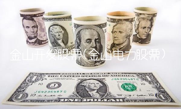 金山开发股票(金山电力股票)
