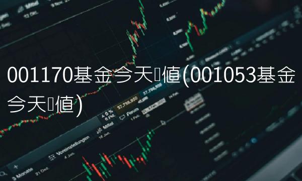 001170基金今天净值(001053基金今天净值)