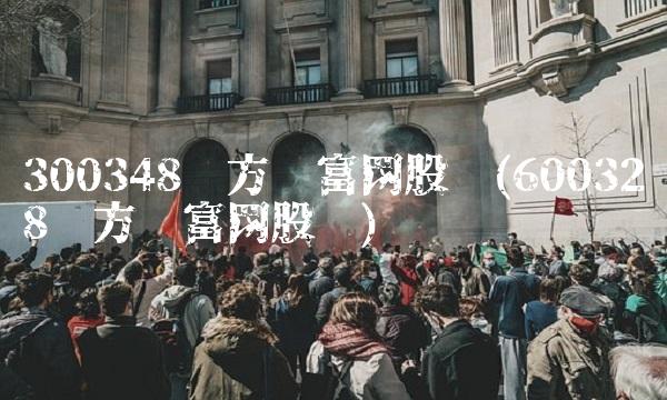 300348东方财富网股吧(600328东方财富网股吧)