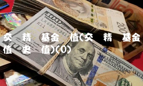交银精选基金净值(交银精选基金净值历史净值)(0)