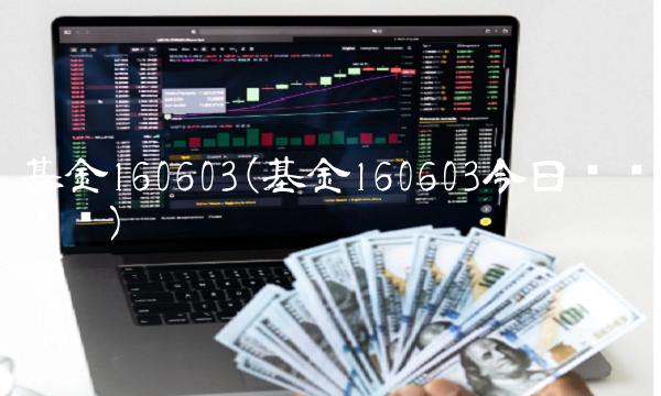 基金160603(基金160603今日净值查询)