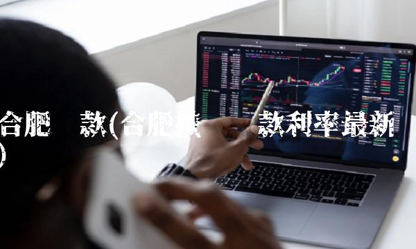合肥**(合肥按揭**利率**)